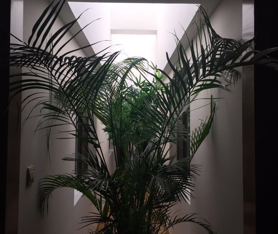 张家口国际大酒店主图