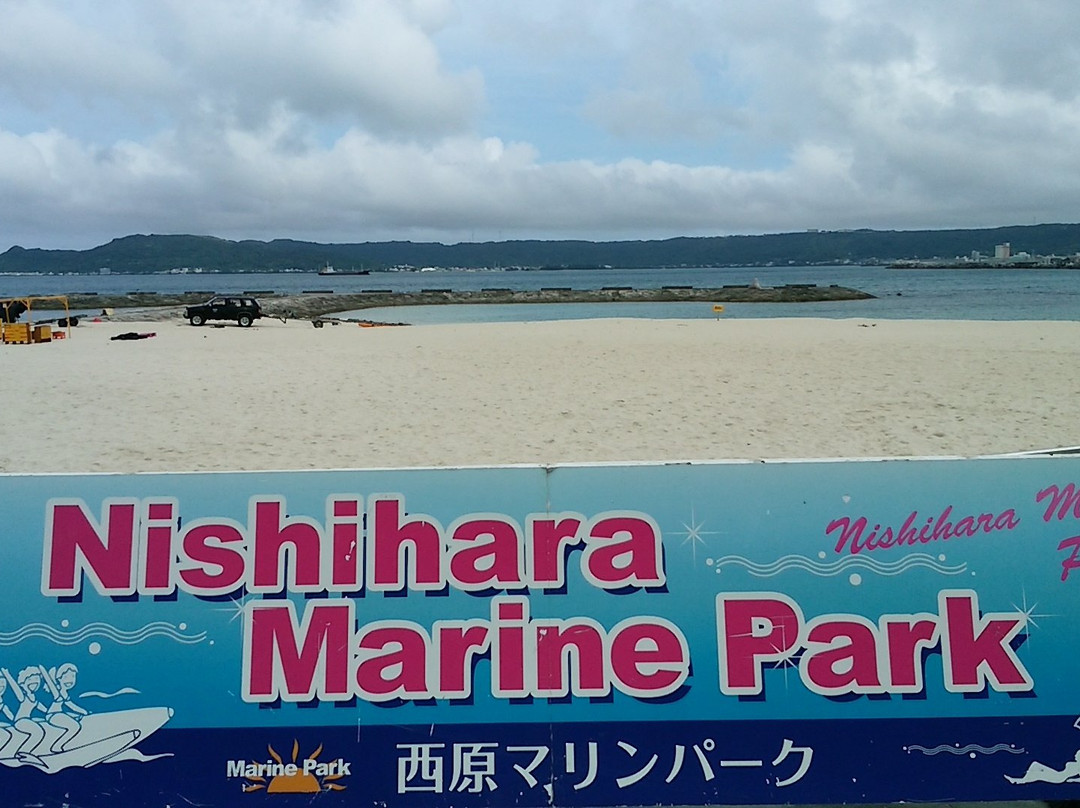 Nishihara Yonabaru Marine Park景点图片