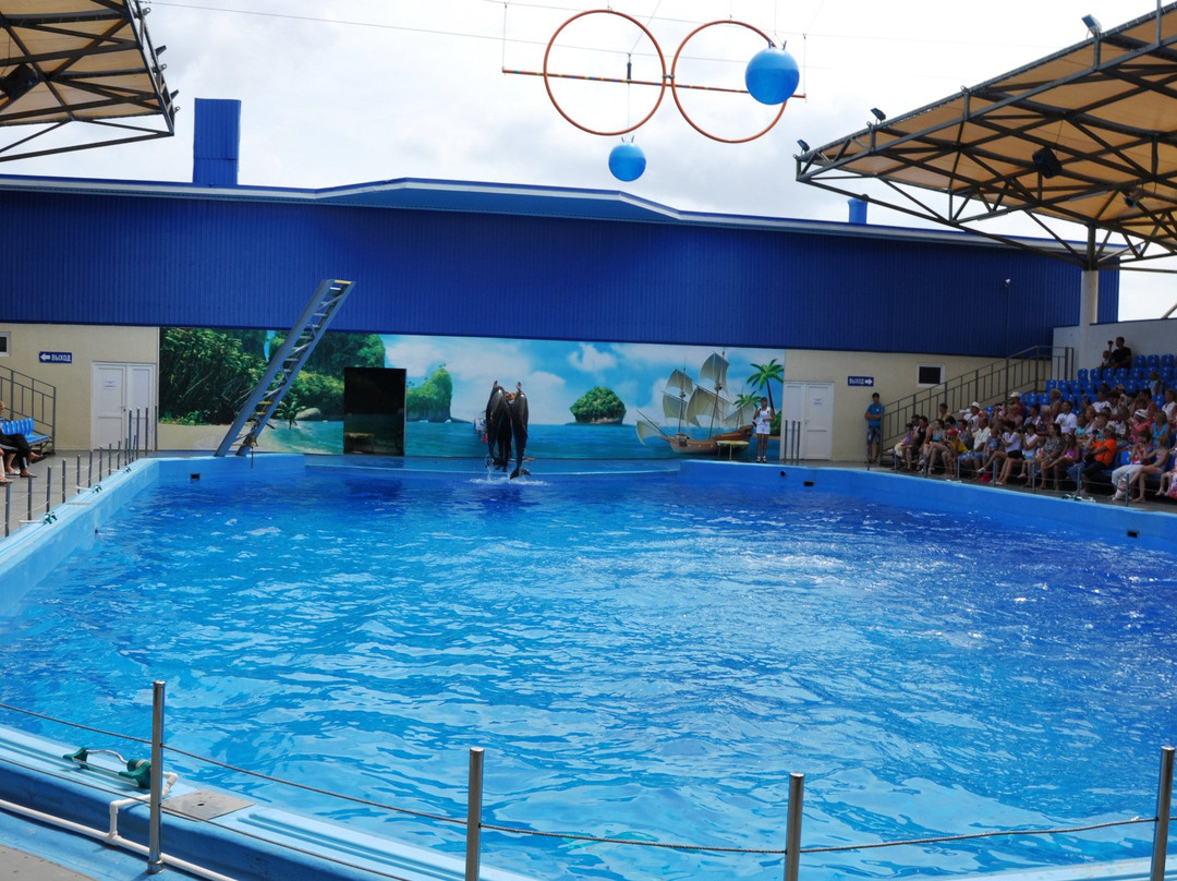 Azov Dolphinarium Nemo景点图片