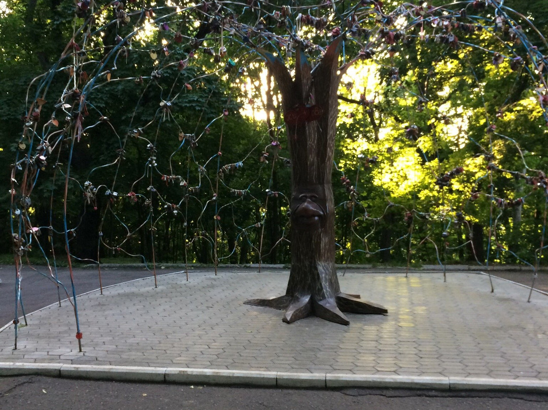 Central Park of Culture and Leisure. V.G. Belinsky-奔萨必去景点