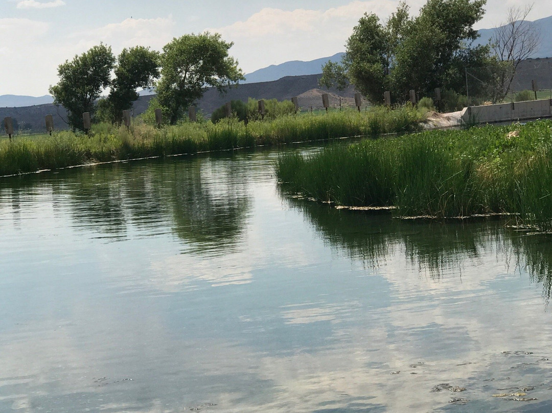 Panaca Hot Springs-Panaca必去景点