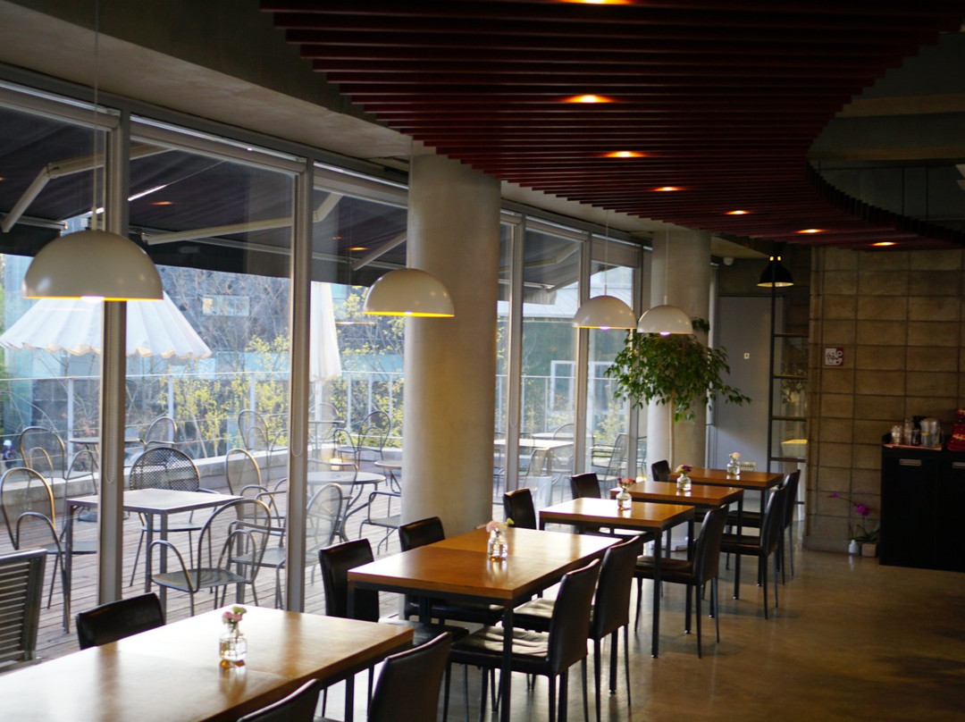 아다마스 253