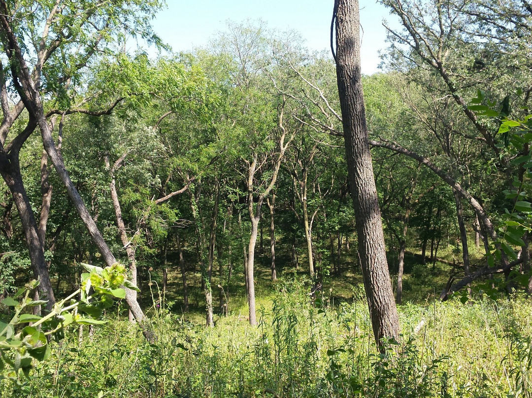 First Brides Grave-苏城必去景点