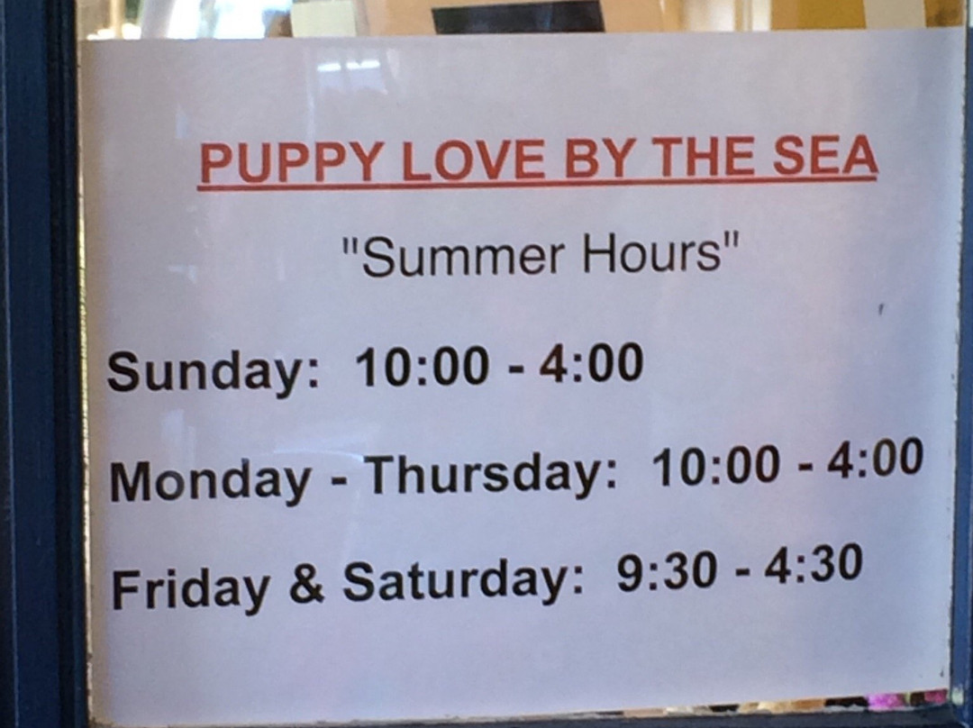 Puppy Love by the Sea-坎农比奇必去景点