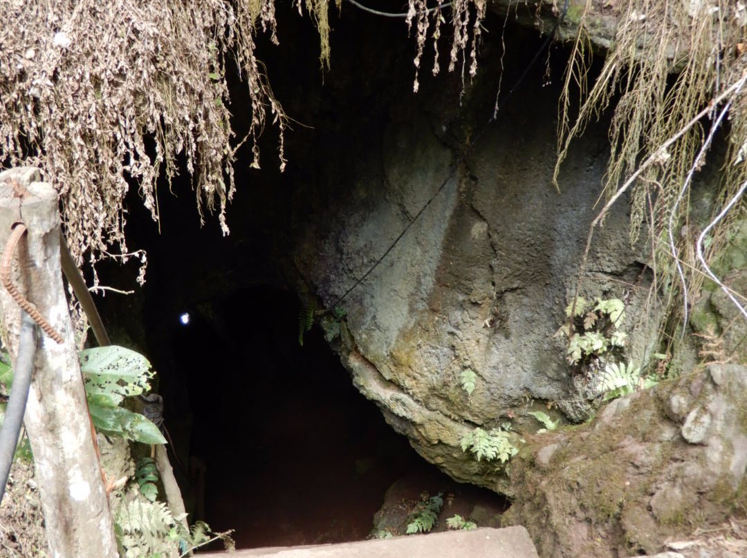 Tunel de Lava Bellavista景点图片