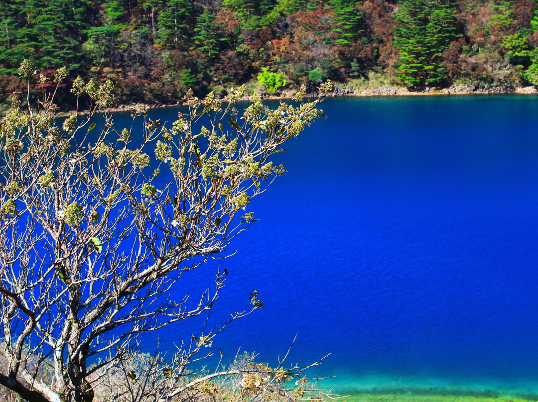 Fudo Pond-虾野市必去景点
