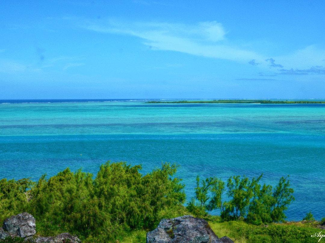 Hermitage Island景点图片