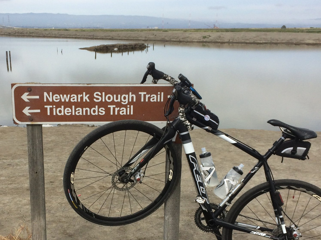 Don Edwards San Francisco National Wildlife Refuge-费利蒙必去景点