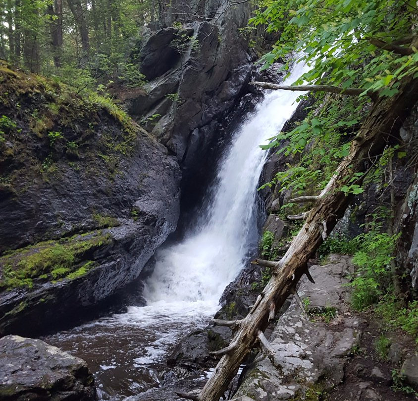 Campbell Falls State Park景点图片