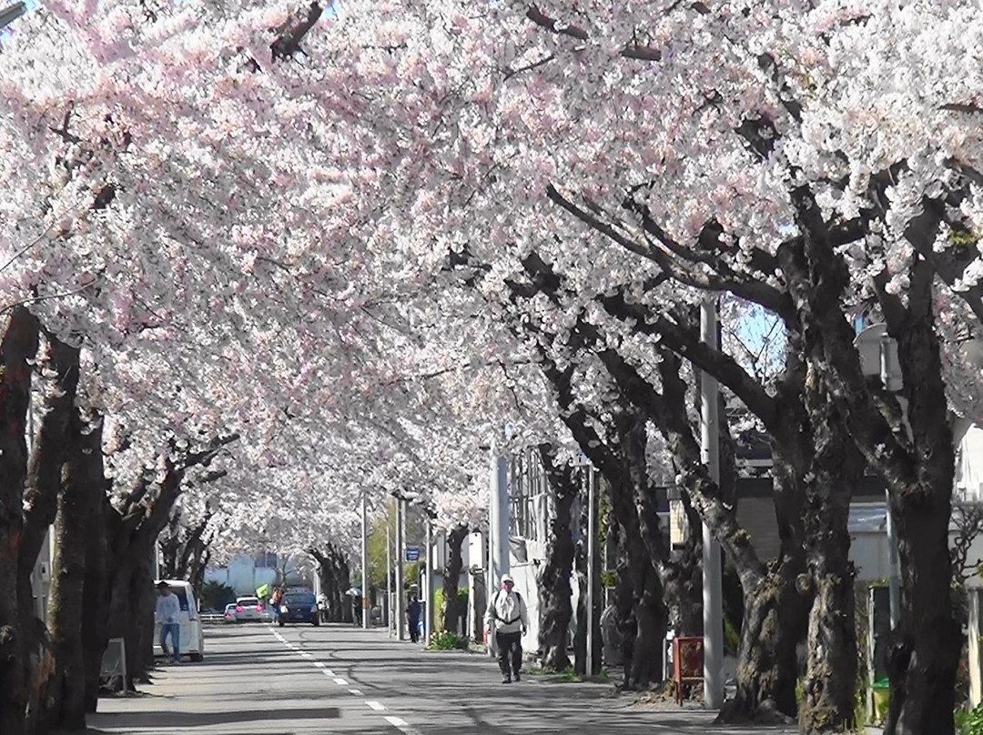 Sakuragaoka St.-函馆市必去景点