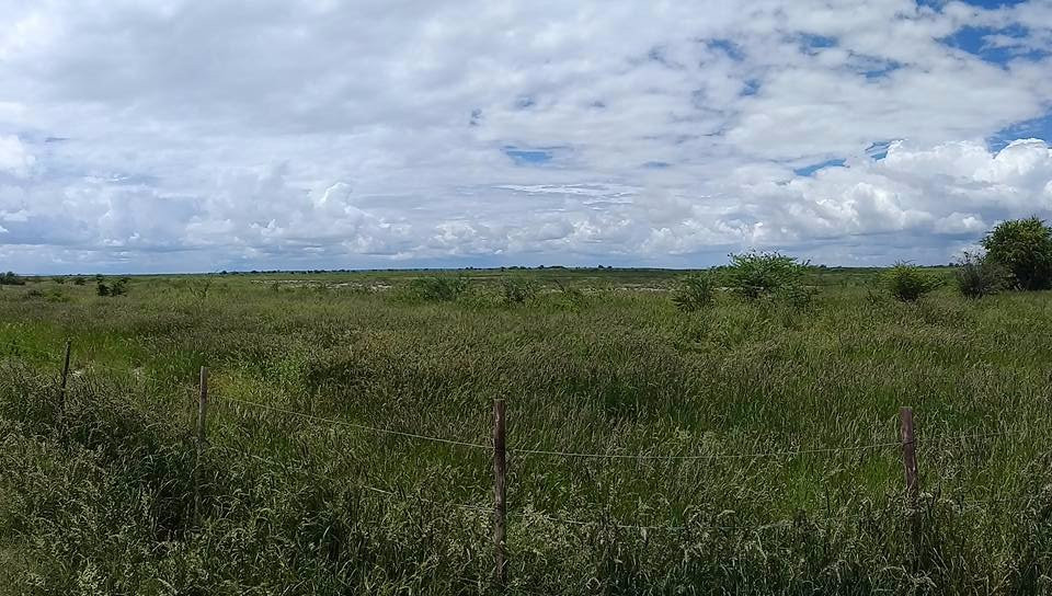 Oshikoto Tourist Transfer cc-楚梅布必去景点