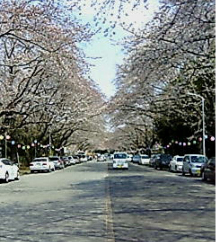 Kobayashi Farm-印西市必去景点