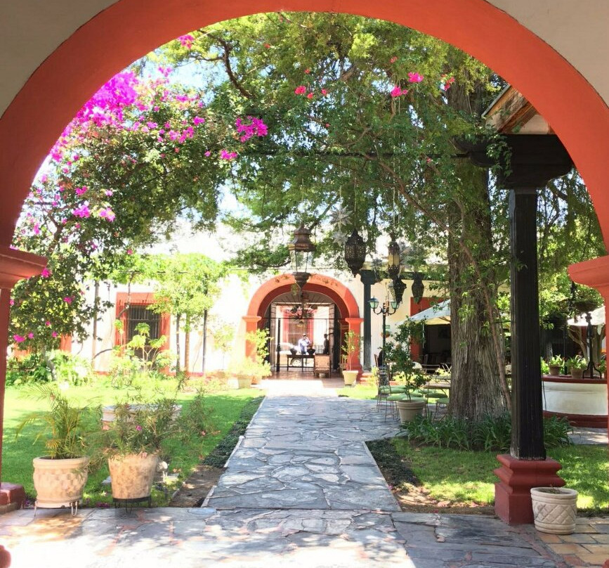 Parras de la Fuente餐馆和美食-El Farol