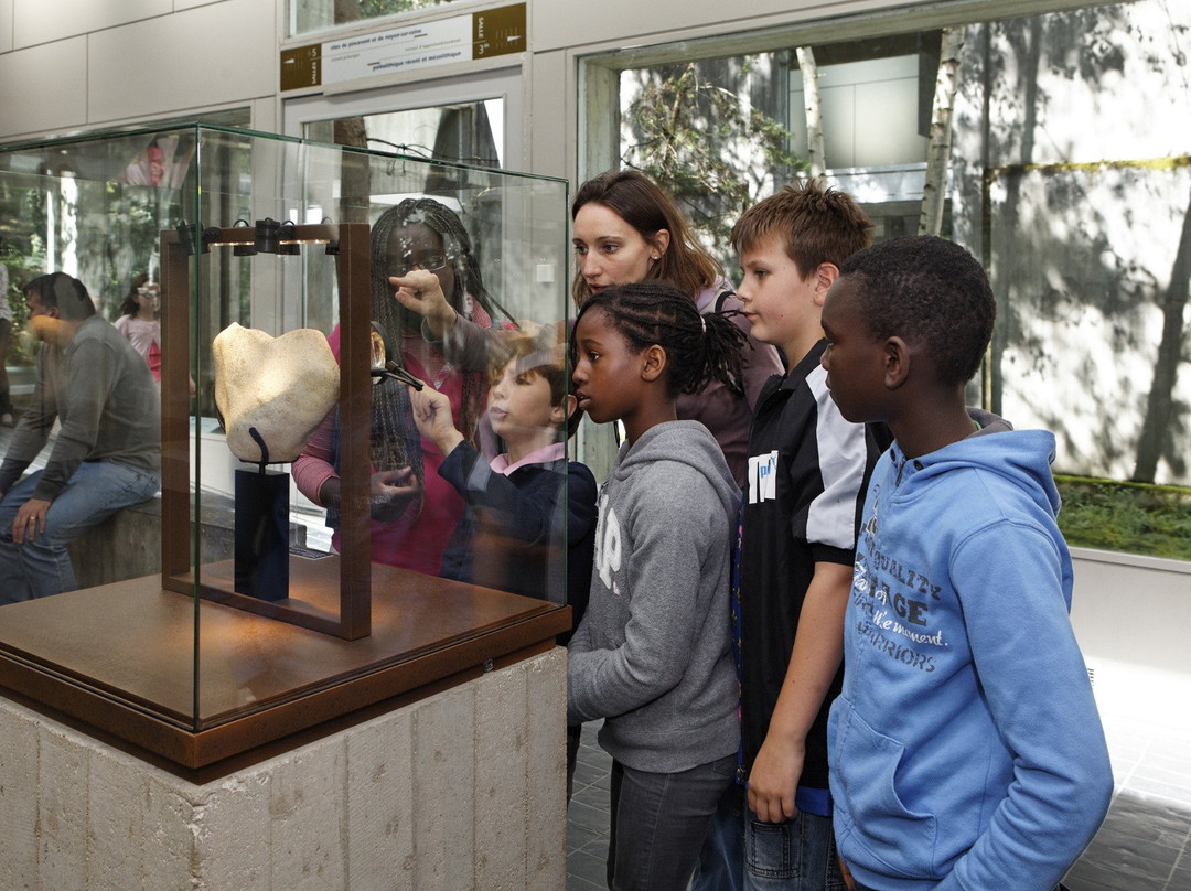 Musee de Prehistoire d'Ile-De-France景点图片