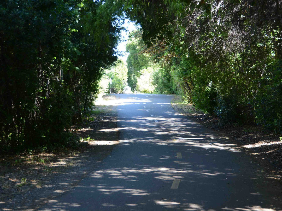 史蒂文斯溪小道-山景城必去景点
