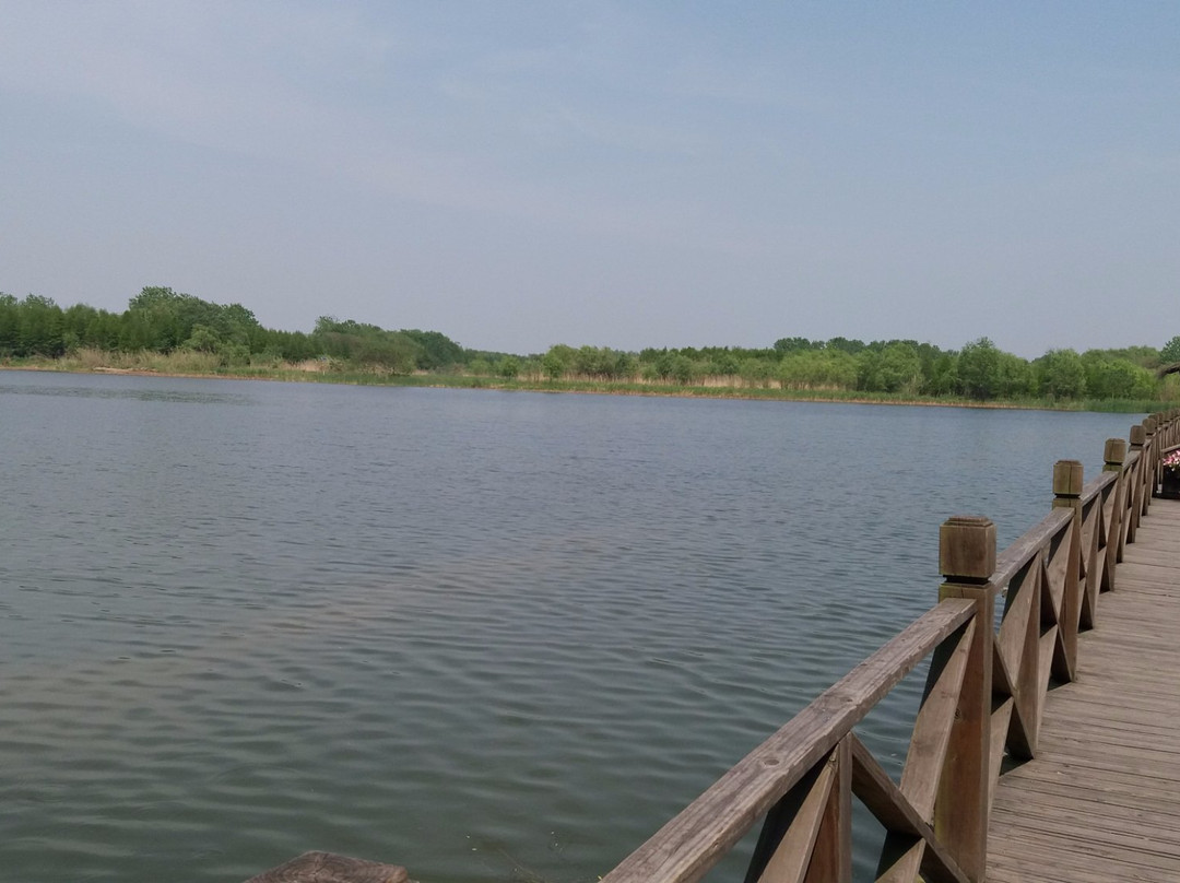 泰州溱湖风景区科普馆景点图片