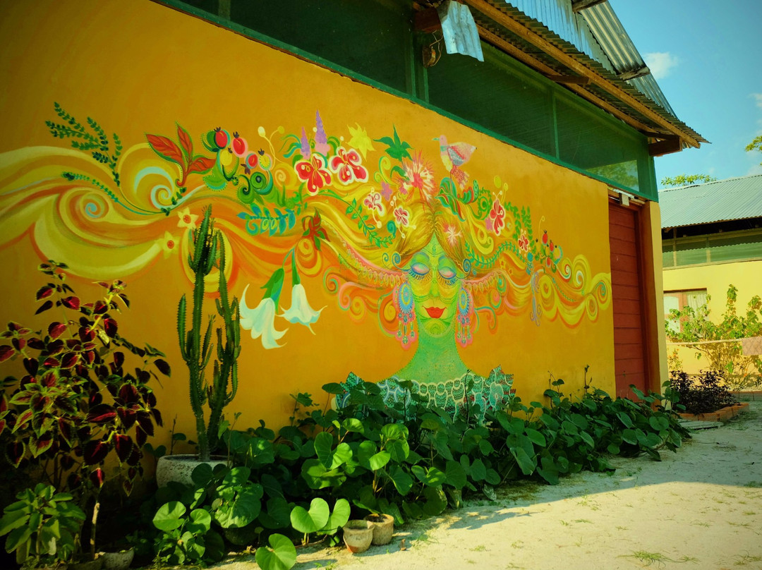 Caya Shobo Ayahuasca Retreat Healing Center