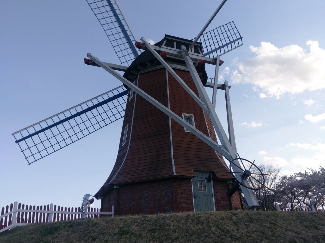 Michi-no-Eki Green Flower Farm Taiko景点图片