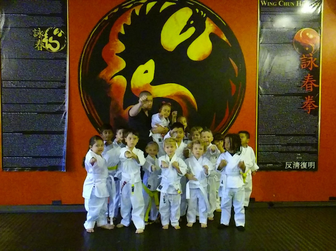 Wing Chun Kung Fu Downtown Lakeland-莱克兰必去景点