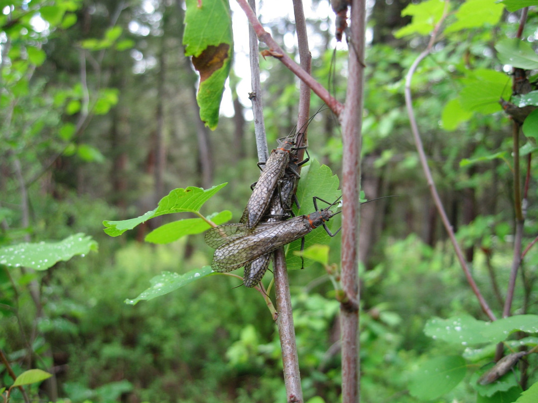 Clear Creek Outfitters-米苏拉必去景点