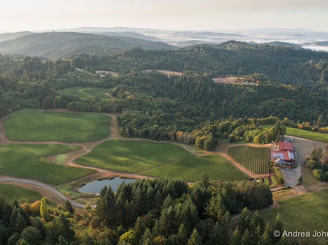 Elk Cove Vineyards-Gaston必去景点
