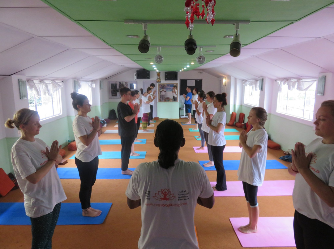 Hatha Yoga World景点图片