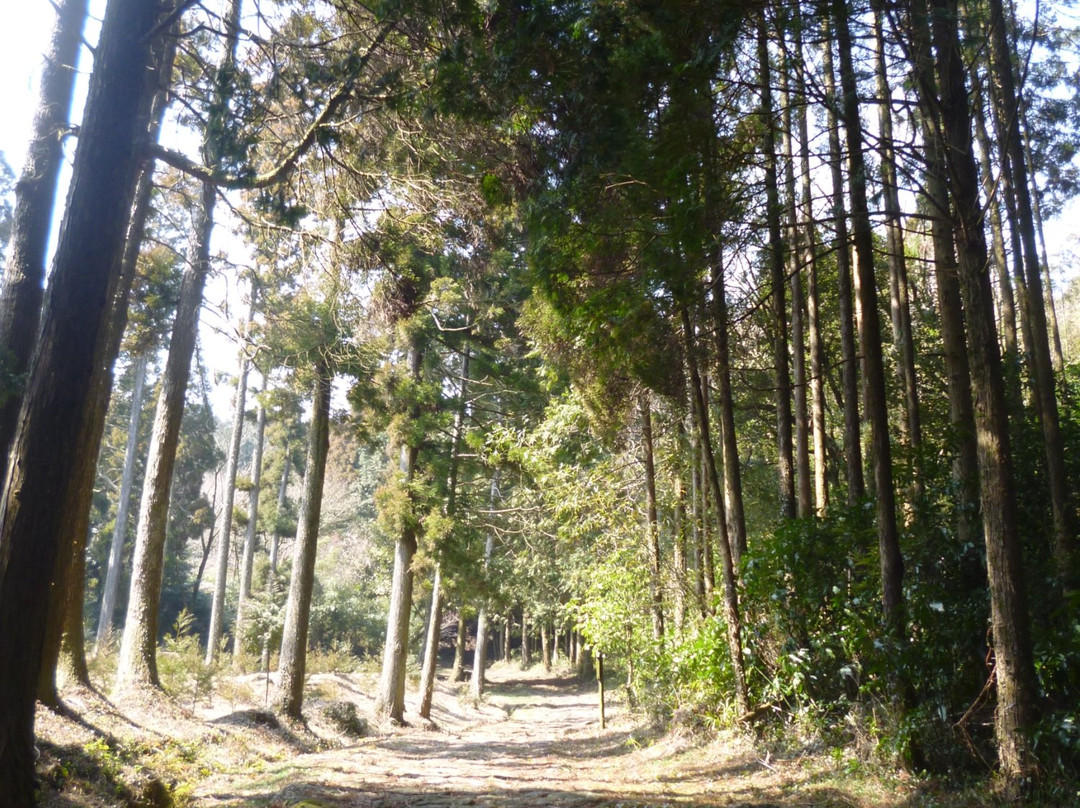 Futae Toge no Ishidatami-阿苏市必去景点