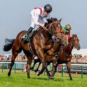 Great Yarmouth Racecourse景点图片