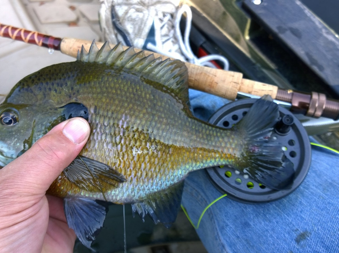 Reconnect Outdoors-New Buffalo必去景点