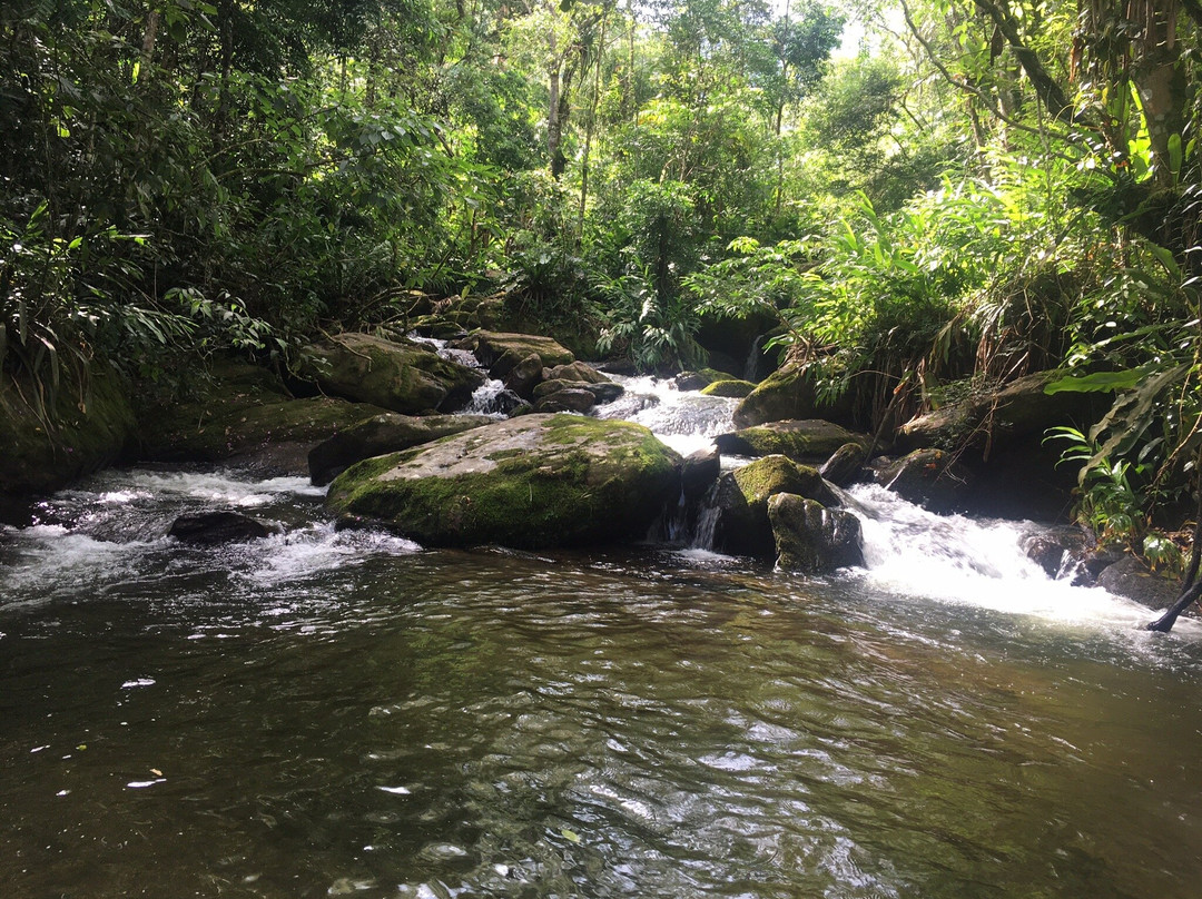 Pesqueiro de Truta Ribeirão Grande