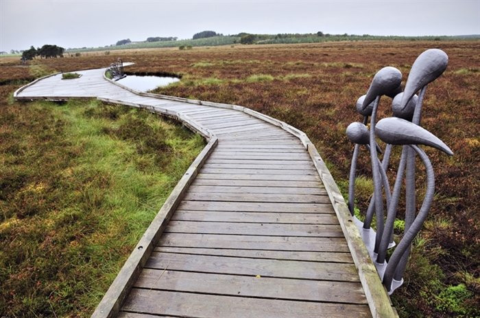 Blawhorn Moss National Nature Reserve-Bathgate必去景点