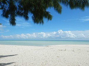 The Happinezz Tours Karimunjawa-卡里蒙加瓦必去景点