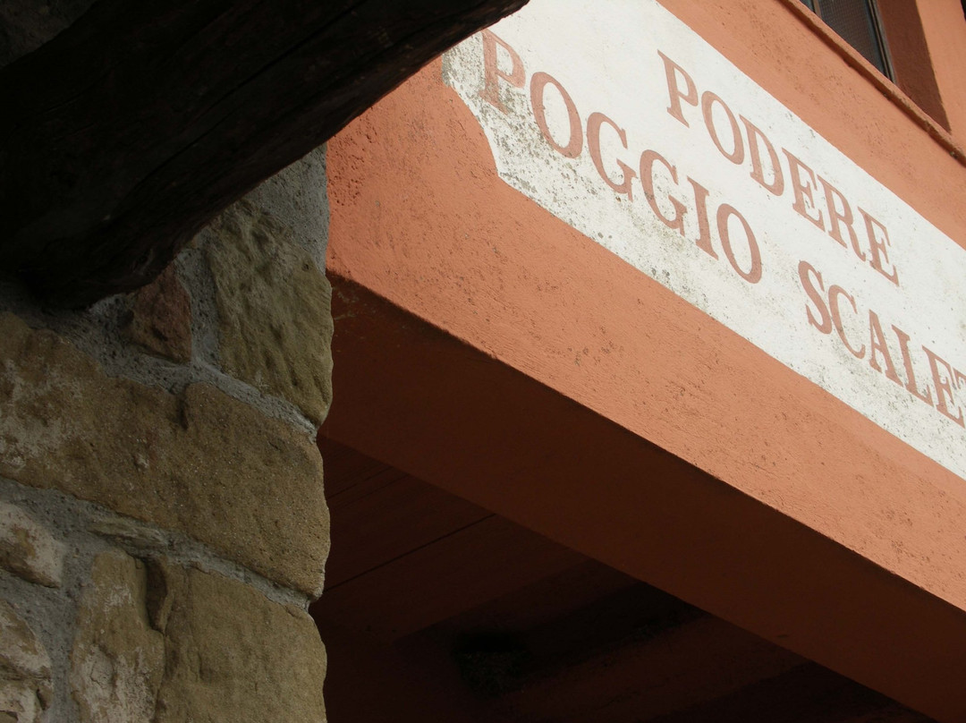 Casole旅游景点-Podere Poggio Scalette