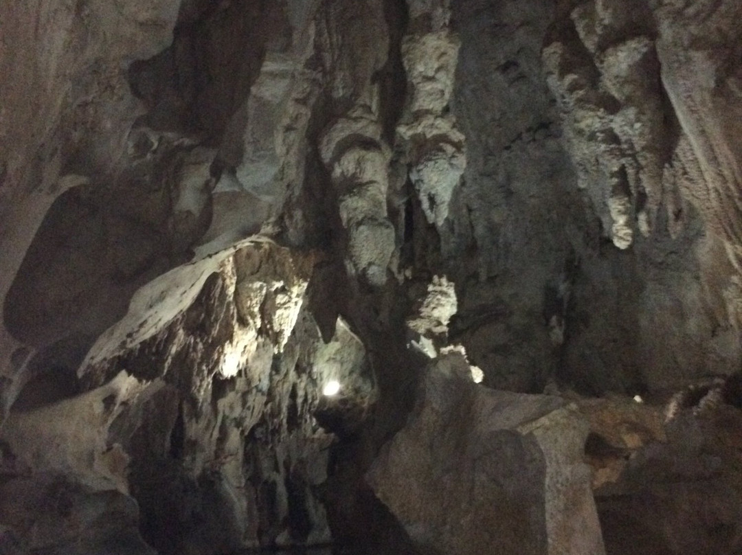 Cueva del Palmarito景点图片