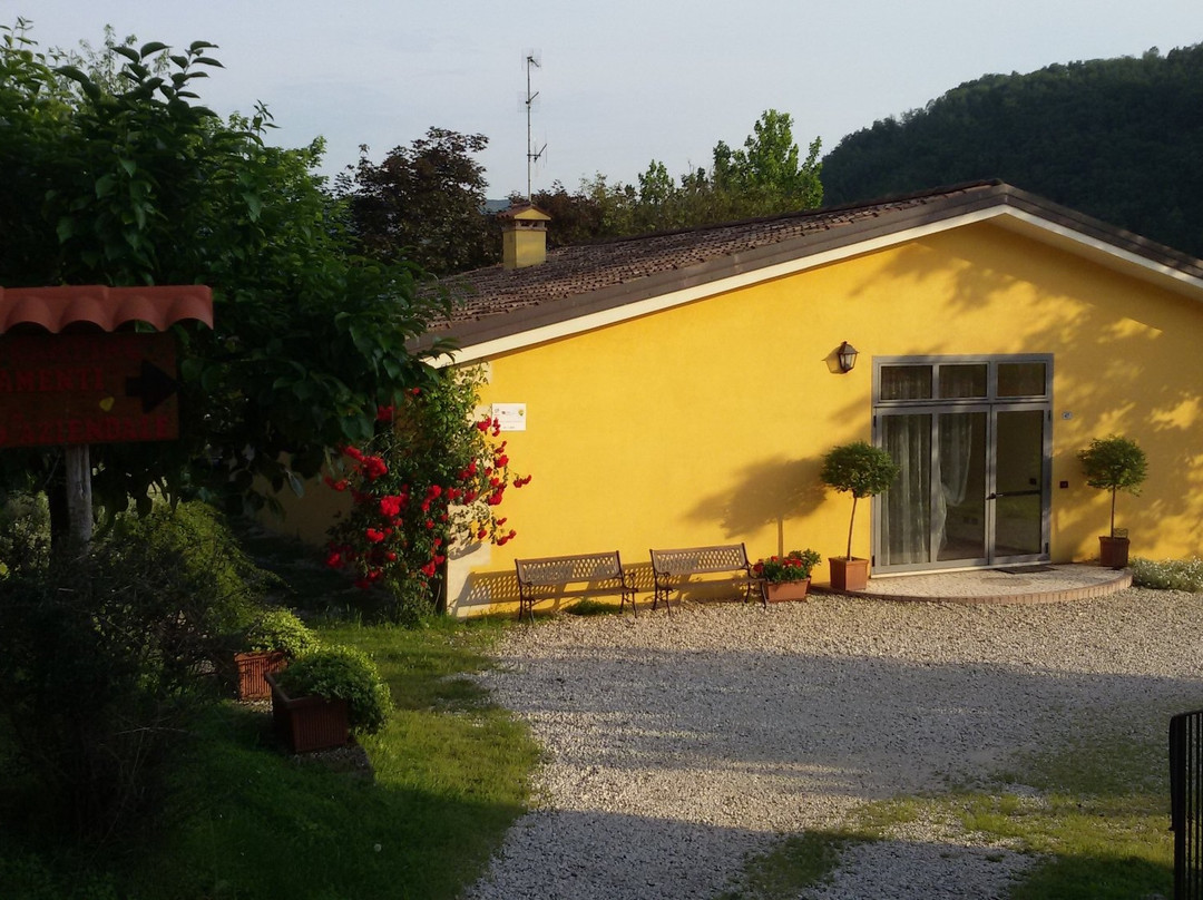 Arcugnano酒店住宿-Il Lago Agriturismo