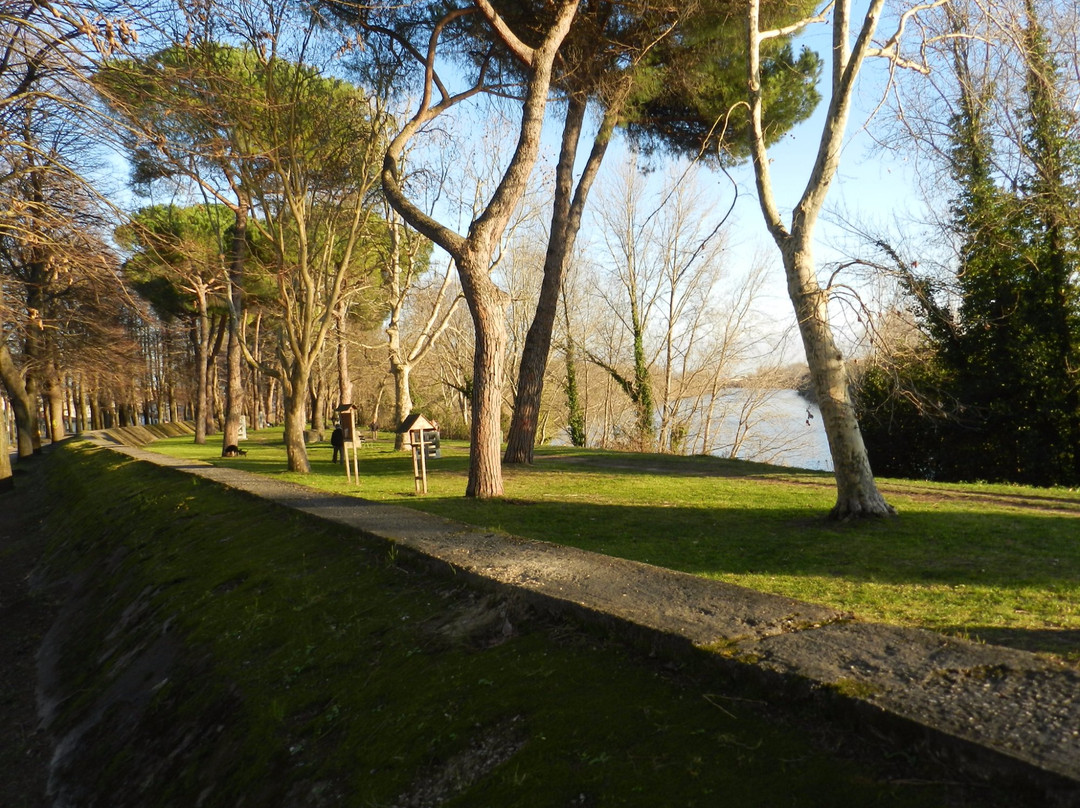 Viale delle Piagge景点图片