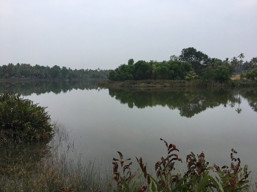 Kottarakkara旅游攻略图片