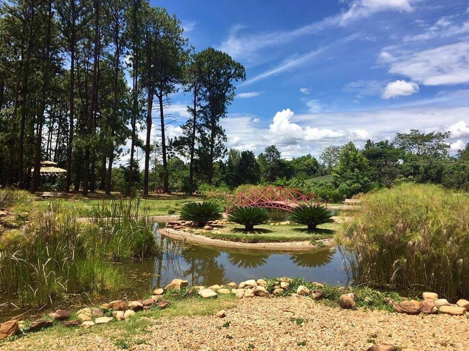 Jardim Botânico de Brasília景点图片