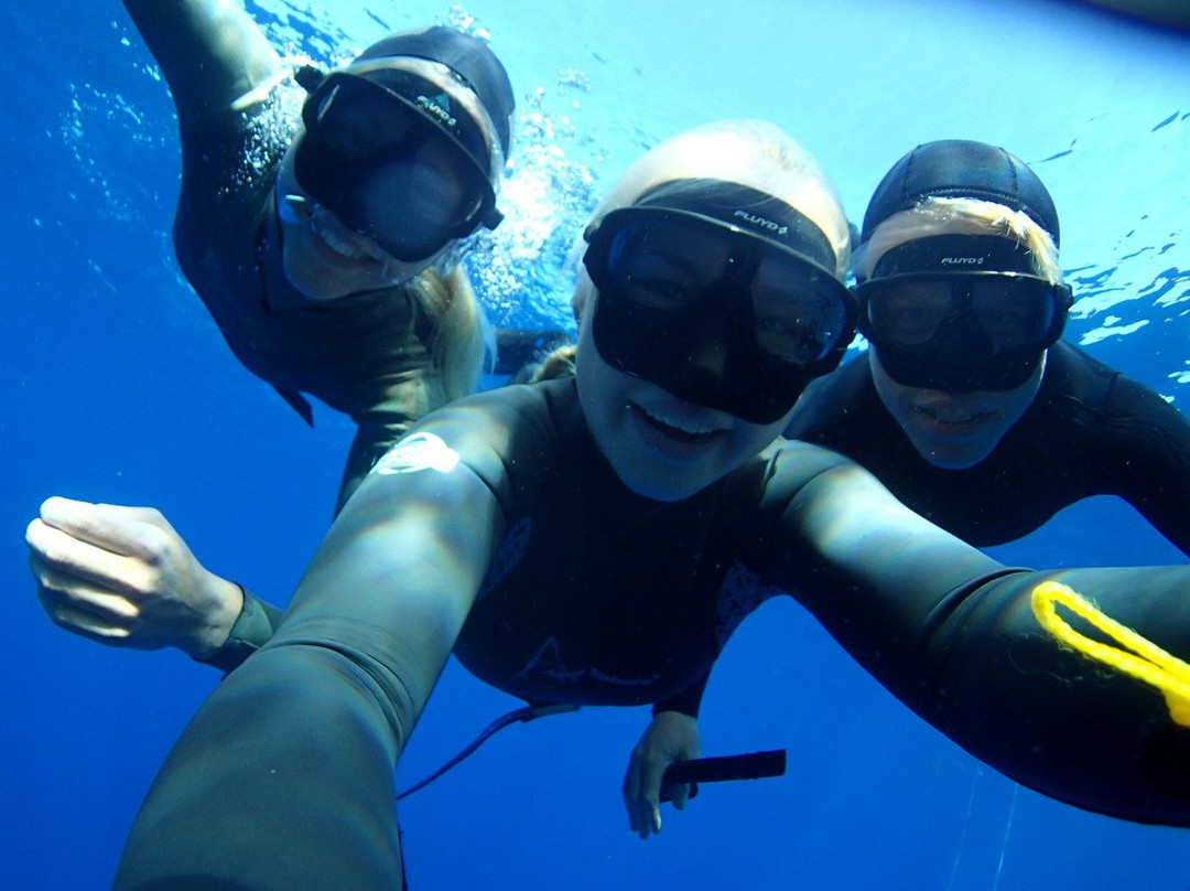 Innerdive-圣劳伦斯必去景点