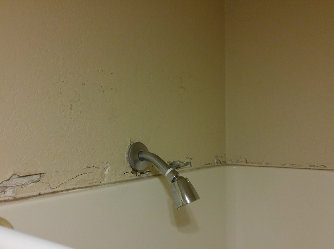 Riverview Lodge主图