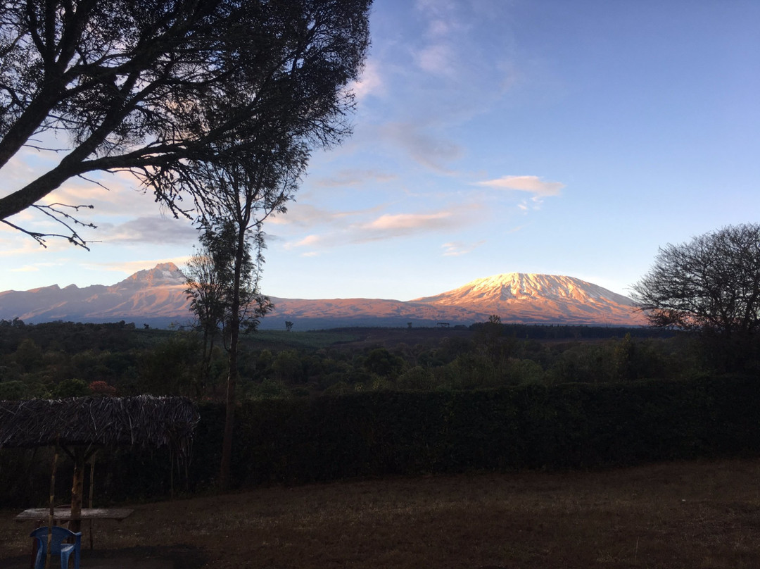 Kilimanjaro Resort Loitokitok主图
