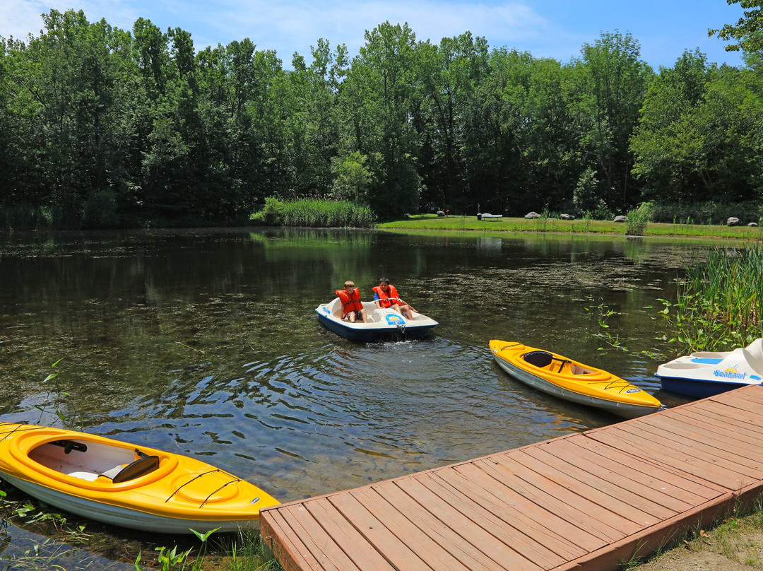 White Pines Campsites