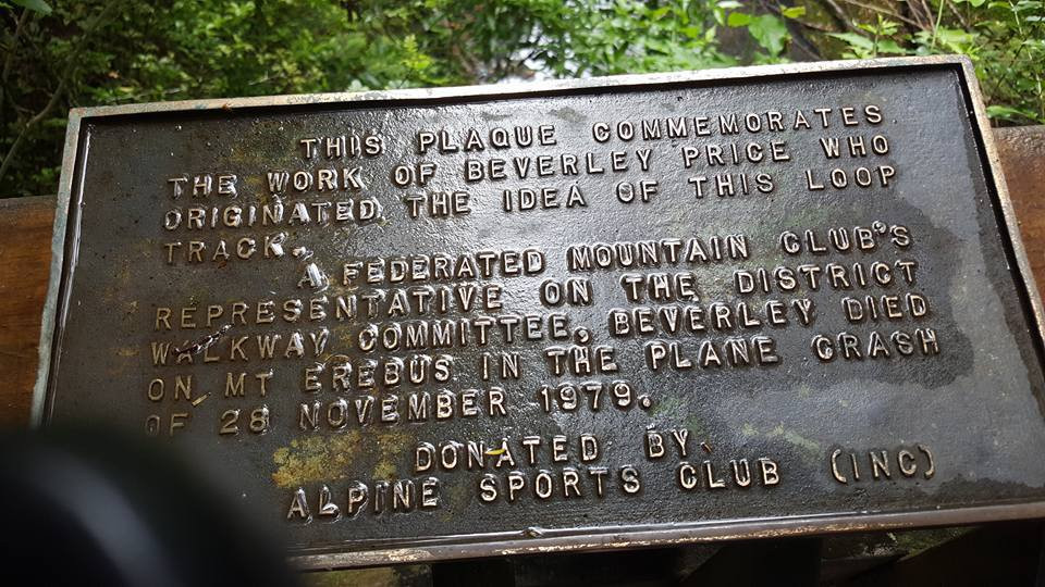 Pohuehue Waterfalls-瓦卡沃夫必去景点