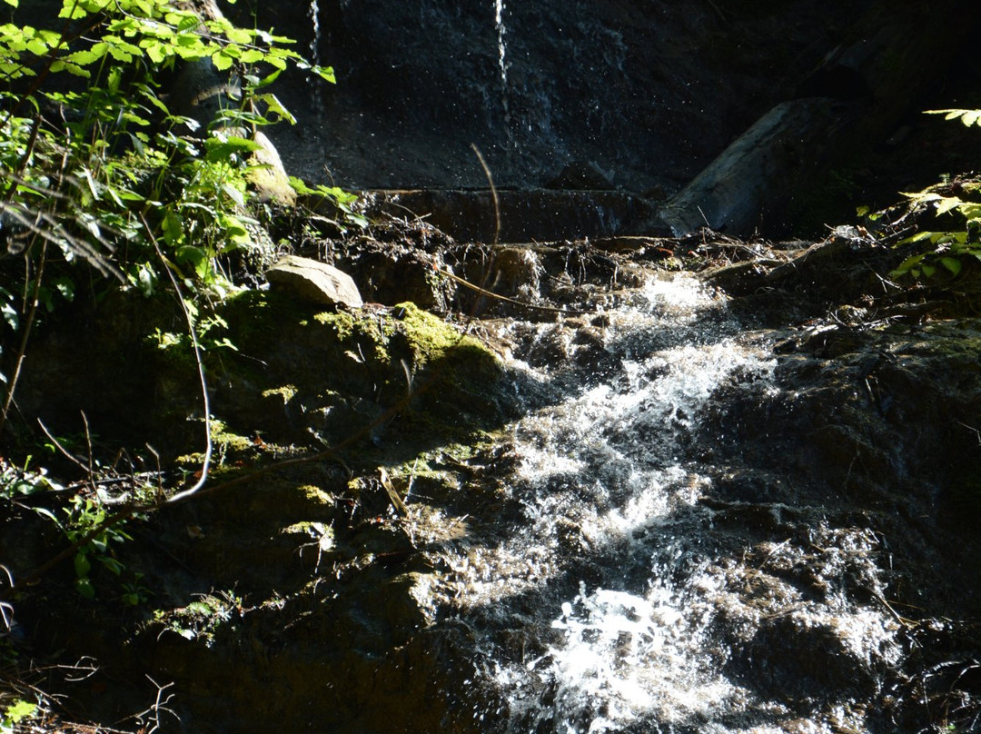 Monastery Gorge-Hrabusice必去景点