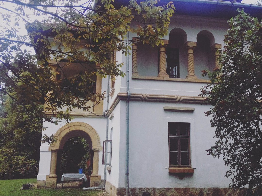 Colecția Golescu景点图片
