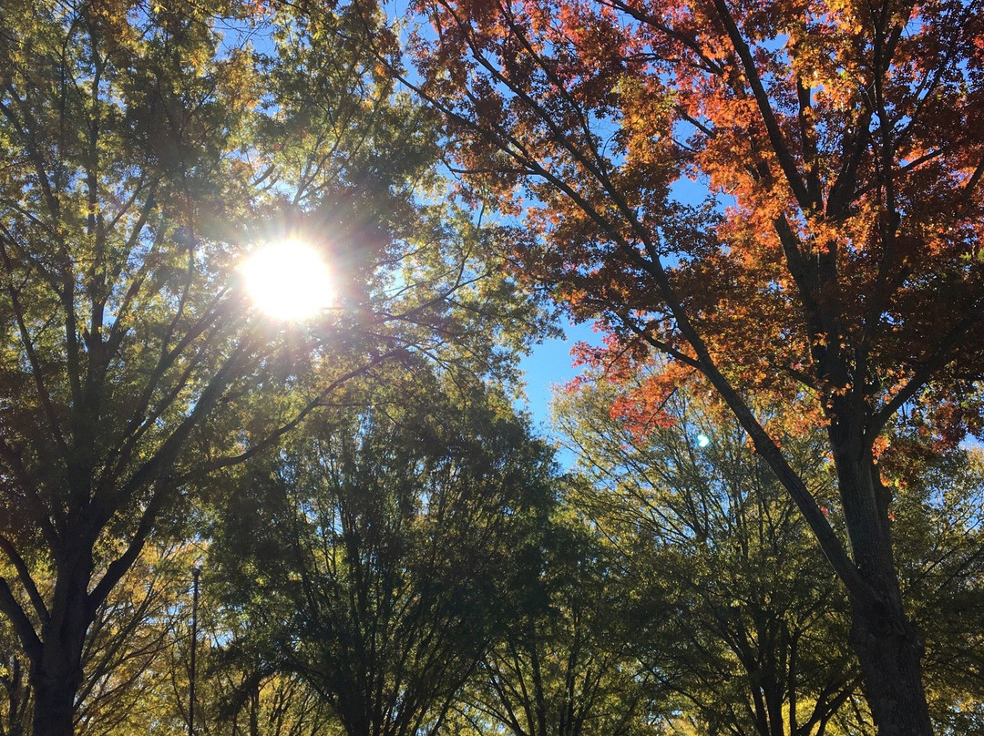 Tanglewood RV Campground