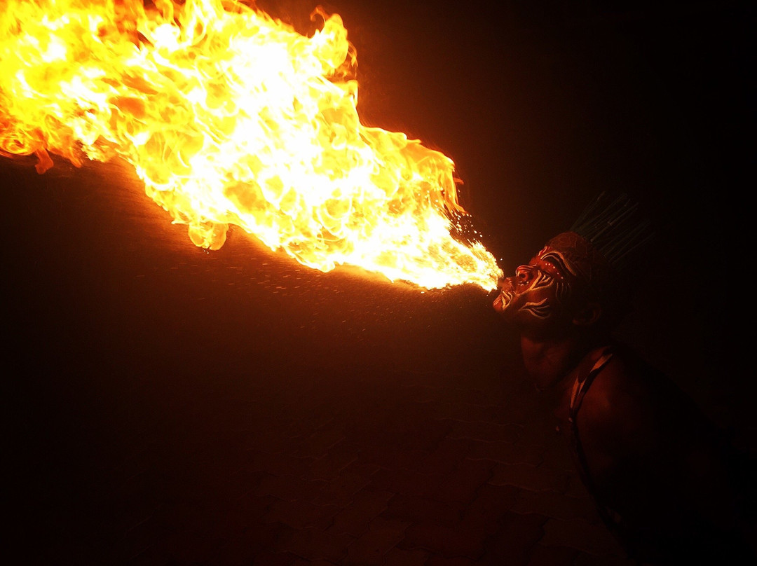 The Gir Garden主图