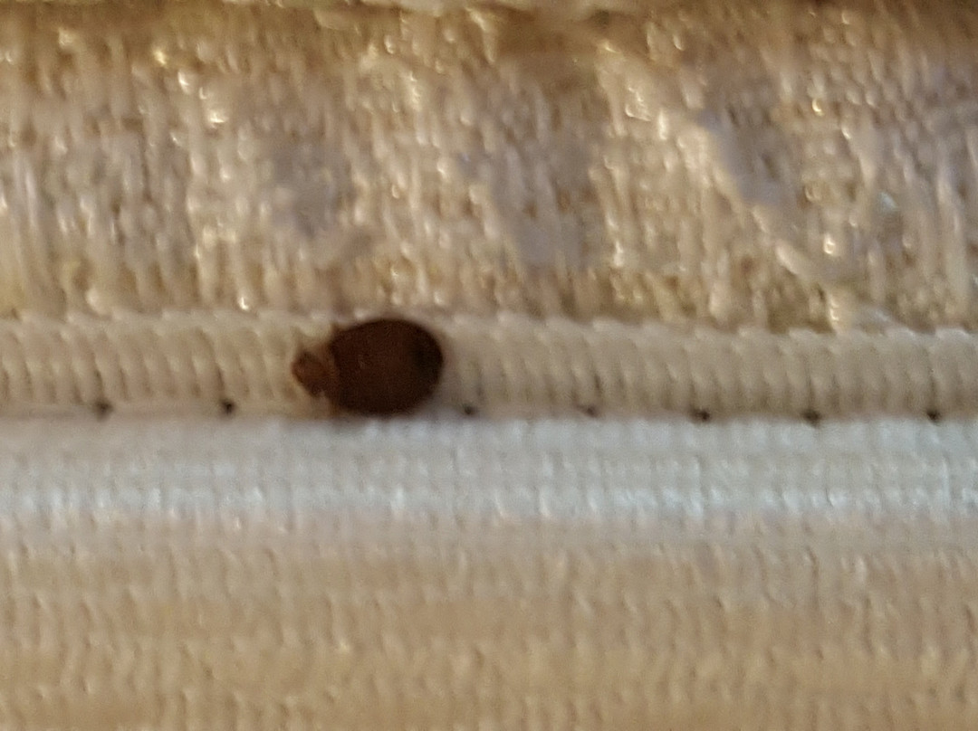 Texas Lodge Kenedy主图