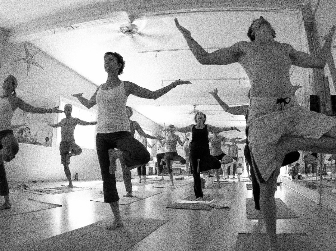 Wisdom Flow Yoga-马卡瓦必去景点