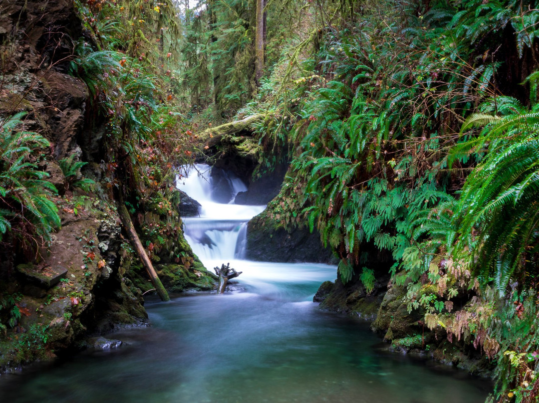奎诺尔特旅游攻略图片